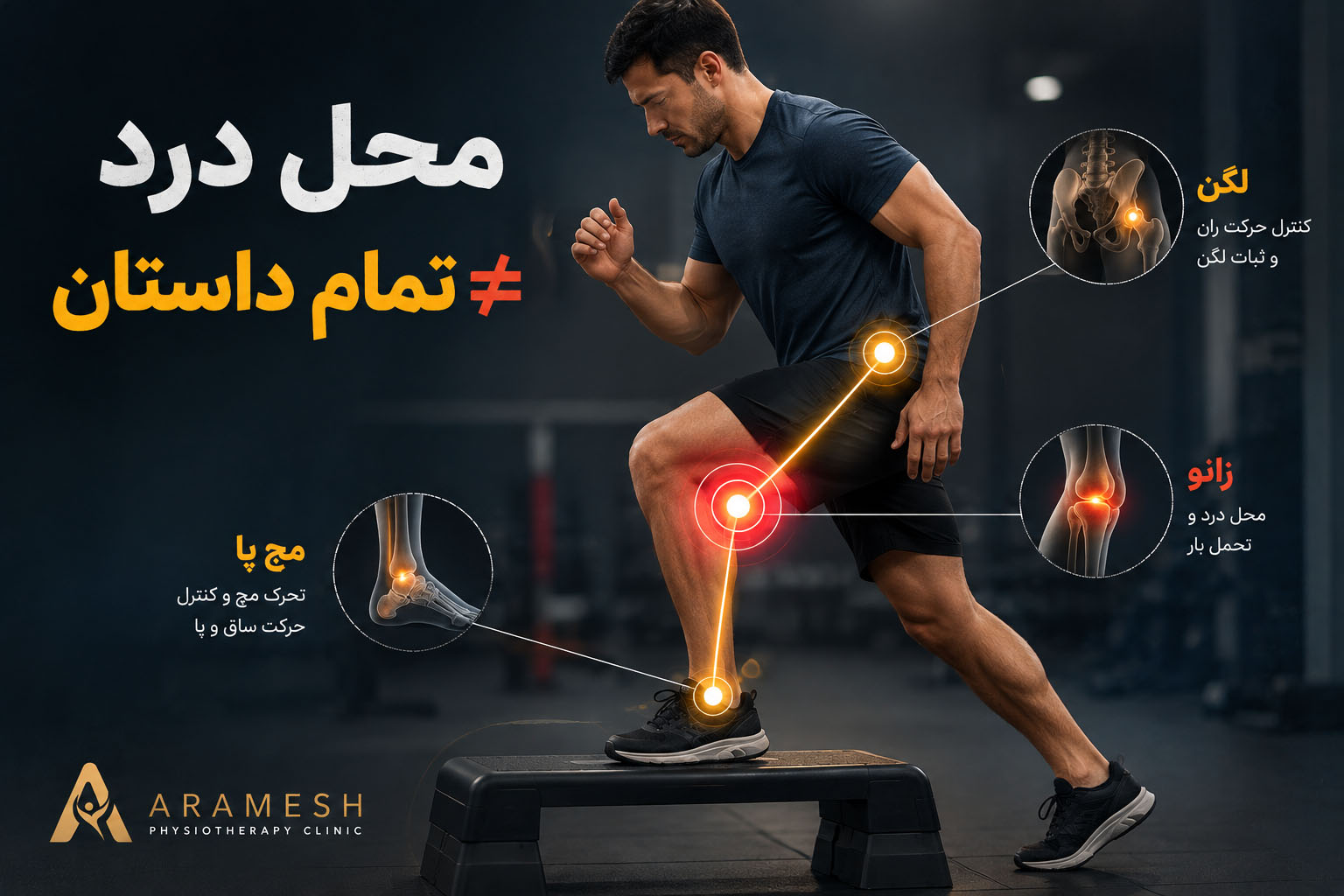 چرا در فیزیوتراپی فقط خود زانو را معاینه نمی‌کنیم؟